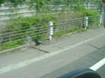 写真3